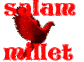 .salam1.